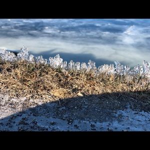 Meet your Posher, Heidi